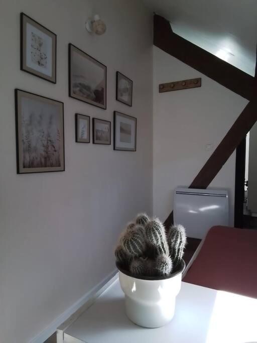 Charmante Petite Maison Vieux  Buitenkant foto